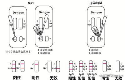 皇冠信用网登1_登革病毒NS1/IgG/IgM联检试剂盒（胶体金法）