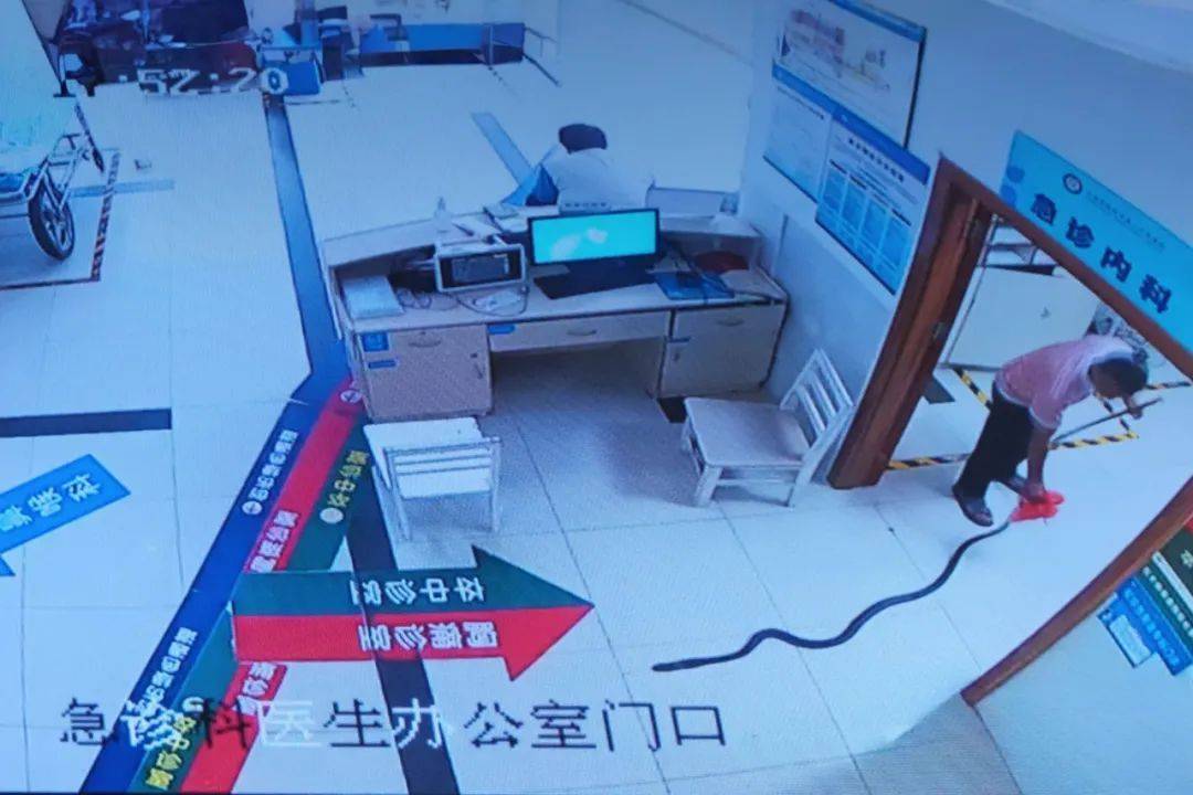 谢周三vs利兹联
_眼镜王蛇咬伤老人谢周三vs利兹联
，家属拖两米多长的“凶手”冲进医院！“拎蛇就医”可取吗？