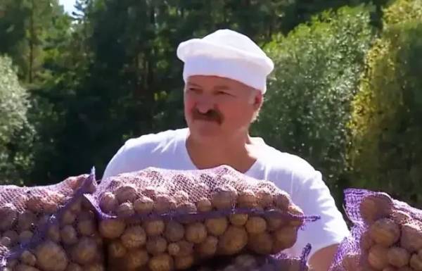 雪兰莪vs丁加奴
_卢卡申科：我要带土豆去中国雪兰莪vs丁加奴
，送给各国领导人