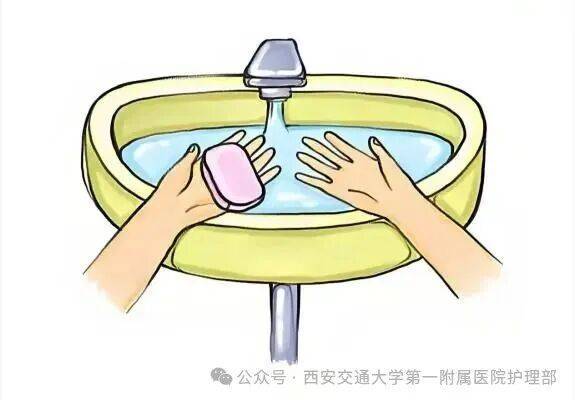 皇冠信用盘_西安多区发现隐翅虫？千万别拍皇冠信用盘！毒液堪比硫酸