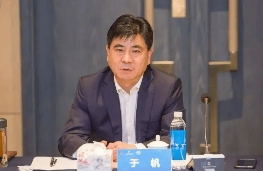 意大利甲组联赛_区委常委被查2天后意大利甲组联赛,区长官宣落马