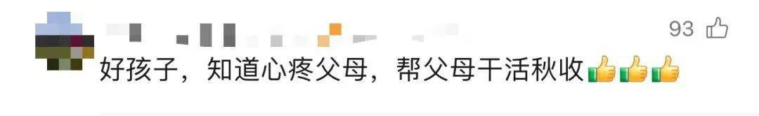 皇冠信用網会员_大学生8天假掰了7天半玉米:自己多弯一次腰皇冠信用網会员,父母就少吃一点苦