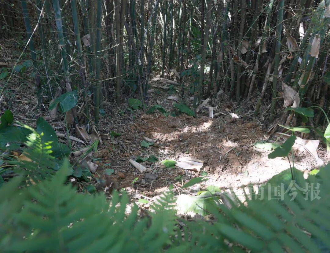 皇冠信用需要押金吗
_柳州钓鱼阿叔竹林挖蚯蚓皇冠信用需要押金吗
,竟挖出千年前的“大宝贝”!